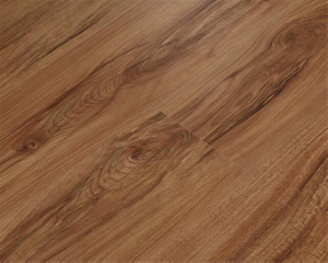 Traditional Wood Style LVT