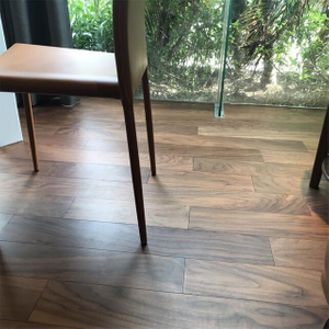Veneer201.jpg