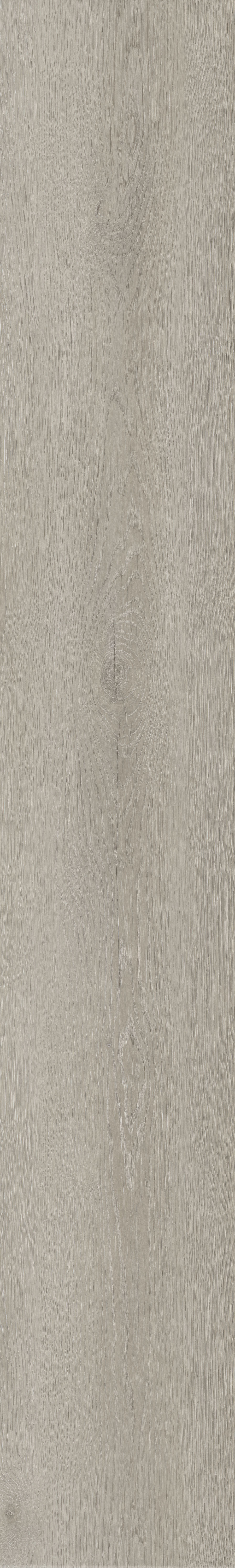 E60-6# / EIR Wood Series / SPC Flooring