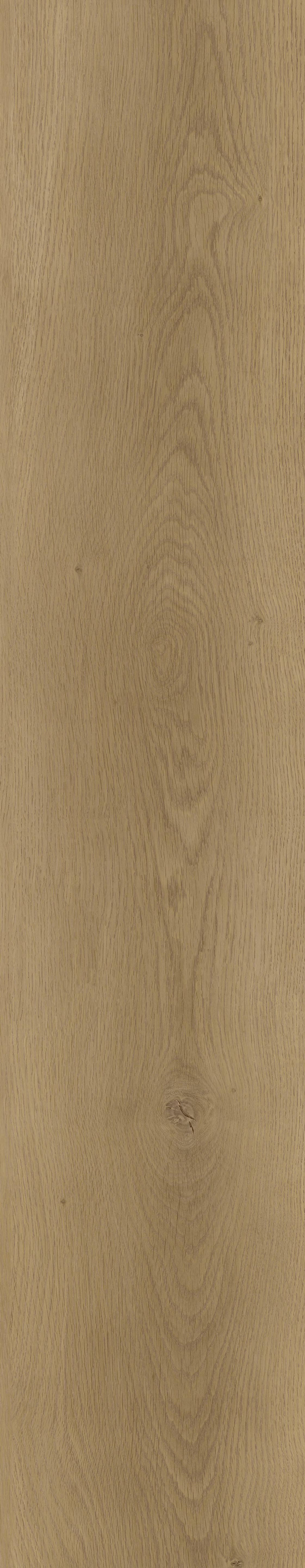 E58-21# / EIR Wood Series / SPC Flooring