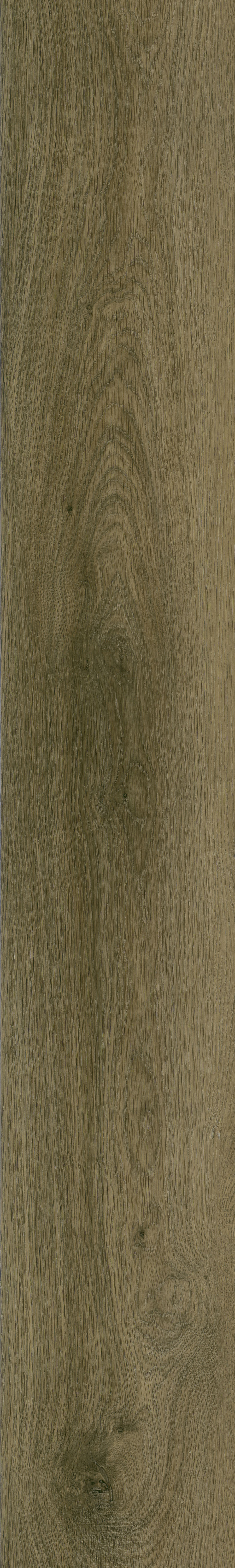 E57-2# / EIR Wood Series / SPC Flooring