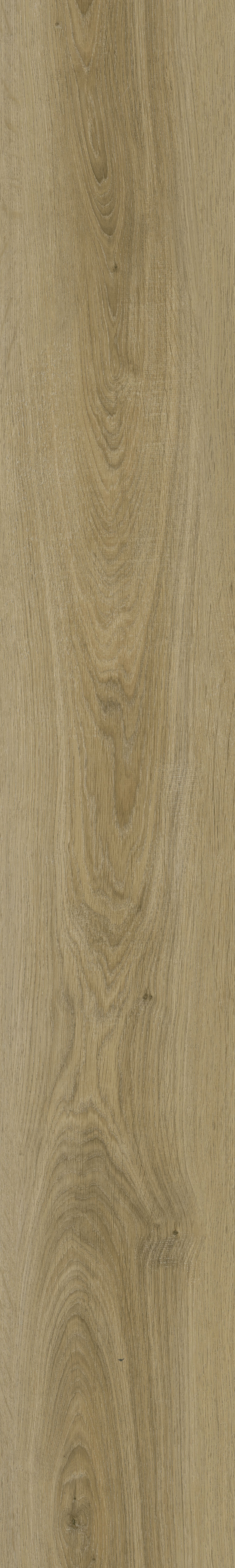 E57-12# / EIR Wood Series / SPC Flooring