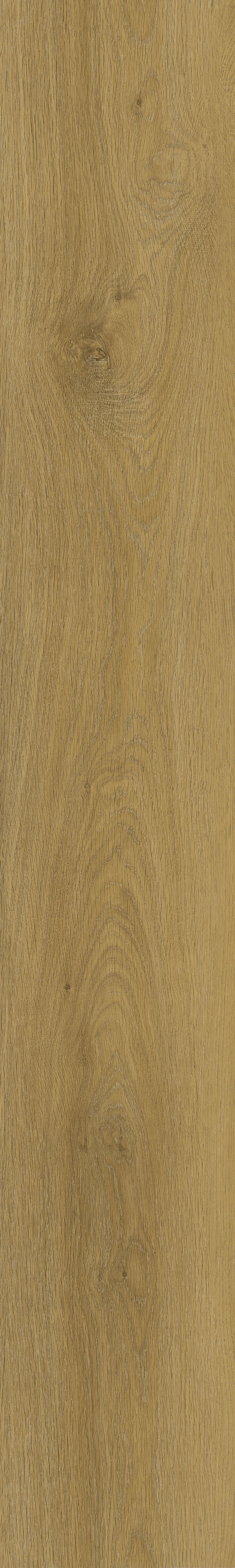 E57-22# / EIR Wood Series / SPC Flooring