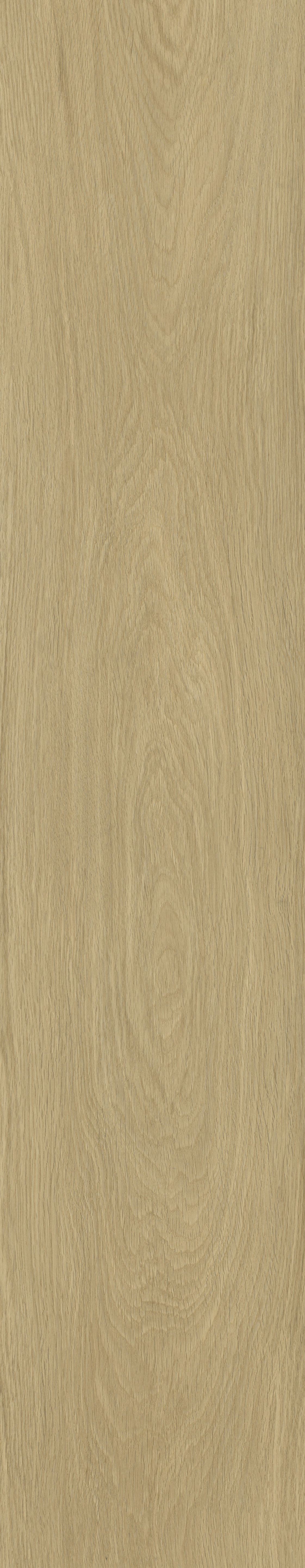 E61-6# / EIR Wood Series / SPC Flooring