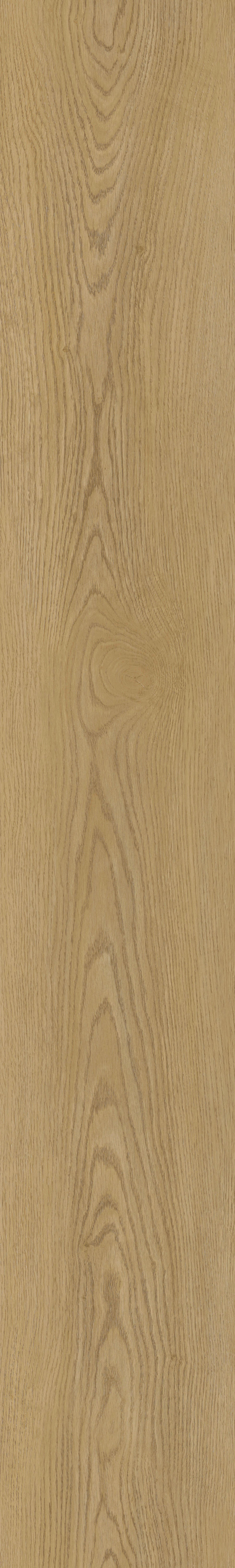 E59-6# / EIR Wood Series / SPC Flooring